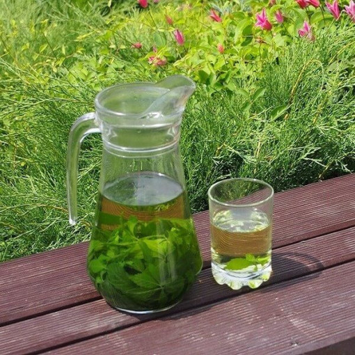 :Mūžīgās zāles - Jiaogulan Gynostemma P9/C1