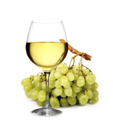 Vīnoga 'Syriusz' P9/C1