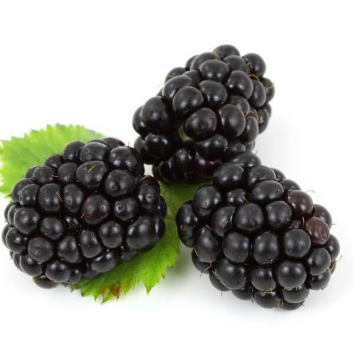 Bezdzelkņu kazene 'Black Satin' P9/C1