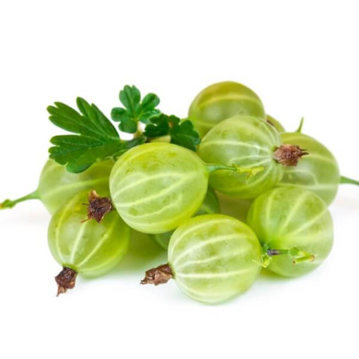 Zaļā ērkšķoga 'Hinnonmaki Green' P9/C1