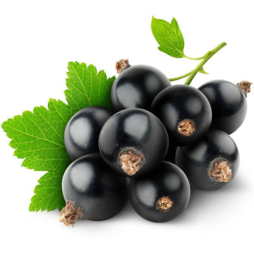 Juodasis serbentas 'Big Love'