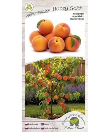 Mini Patio – Persiks Honey Gold, 4 l pods