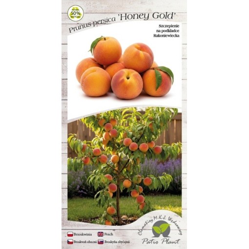 Mini Patio – Persiks Honey Gold, 4 l pods