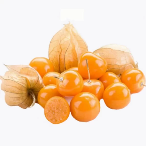 Physalis (Ziemas ķirsis / Peru ķirsis) C2